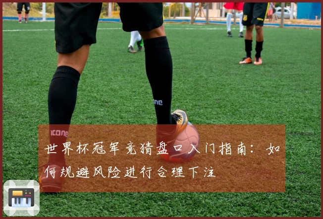 世界杯冠军竞猜盘口入门指南：如何规避风险进行合理下注