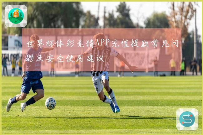 世界杯体彩竞猜APP充值提款常见问题及安全使用建议
