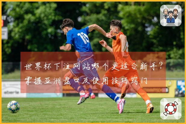 世界杯下注网站哪个更适合新手？掌握亚洲盘口及使用技巧窍门