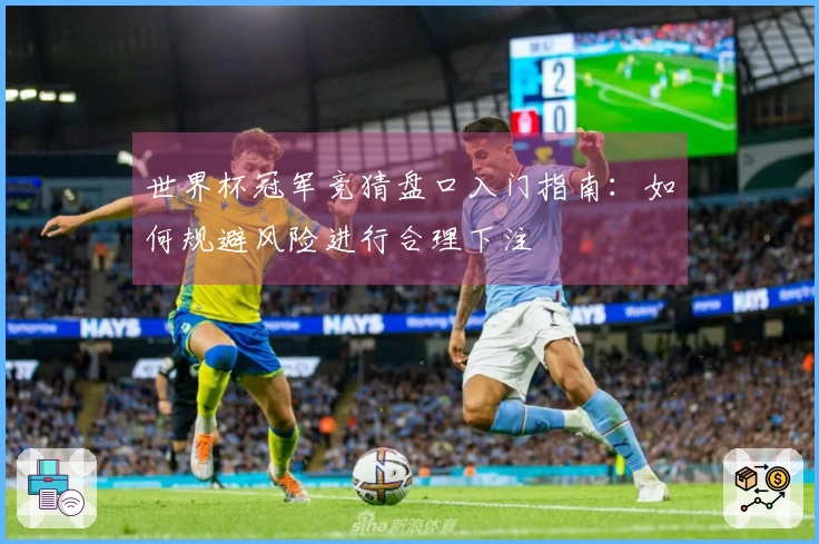 世界杯冠军竞猜盘口入门指南：如何规避风险进行合理下注