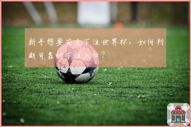 新手想要安全下注世界杯，如何判断可靠的下注入口？